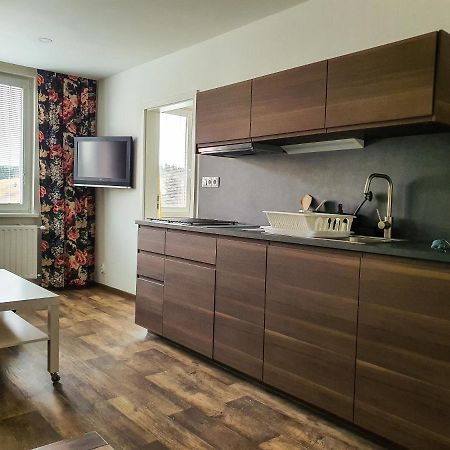 Apartmany Schmiedeberg U Klinovce Kovářská 外观 照片
